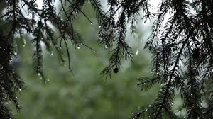RamCharitManas9's tweet photo. #RamCharitManas - a lovely #poem, presents a beautiful description of rainy season. Read on this thread and #enjoy 1/N

#India #Literature #Vedas #Religion #Spirituality #Ram #Sita #Monsoon #Rain #Love #LiteratureOfIndia

Let's #MakeSpiritualityViral https://t.co/NXOiZvzctV
