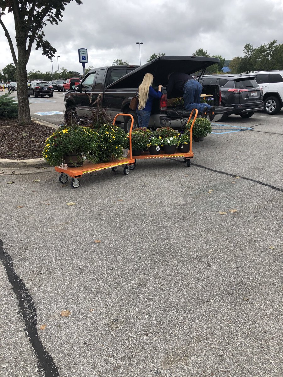 Donna Davis (@ddavis_m) on Twitter photo ...and the sun’s not out yet...<a href="/RickieBoutwell/">Rickie Boutwell</a> <a href="/misshd03/">Megan A. Coleman</a> <a href="/freddyplants/">Fplants</a> <a href="/GriffinAgriffin/">Alphonso Griffin</a> <a href="/Stephen_E_Camp/">Stephen Camp</a> @PPSinHD <a href="/MetrolinaGHS/">MetrolinaGreenhouses</a> ...and the sun’s not out yet...<a href="/RickieBoutwell/">Rickie Boutwell</a> <a href="/misshd03/">Megan A. Coleman</a> <a href="/freddyplants/">Fplants</a> <a href="/GriffinAgriffin/">Alphonso Griffin</a> <a href="/Stephen_E_Camp/">Stephen Camp</a> @PPSinHD <a href="/MetrolinaGHS/">MetrolinaGreenhouses</a>