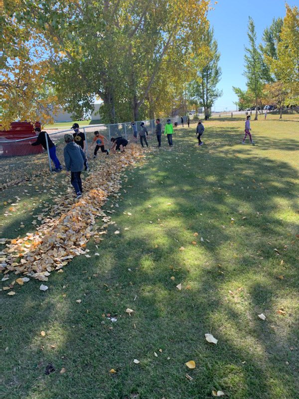 Delisle Elementary School tweet media