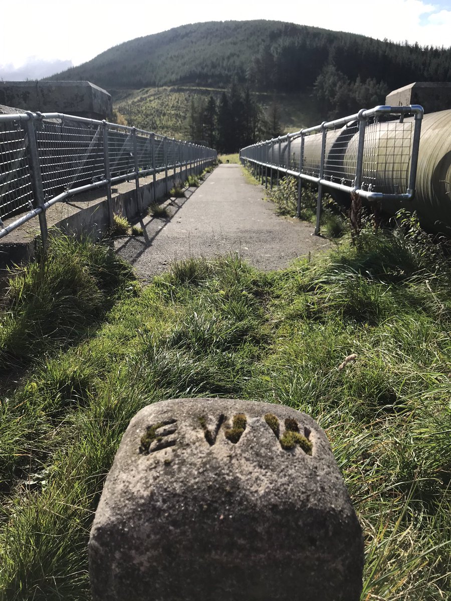 The Tweed Chronicles tweet media