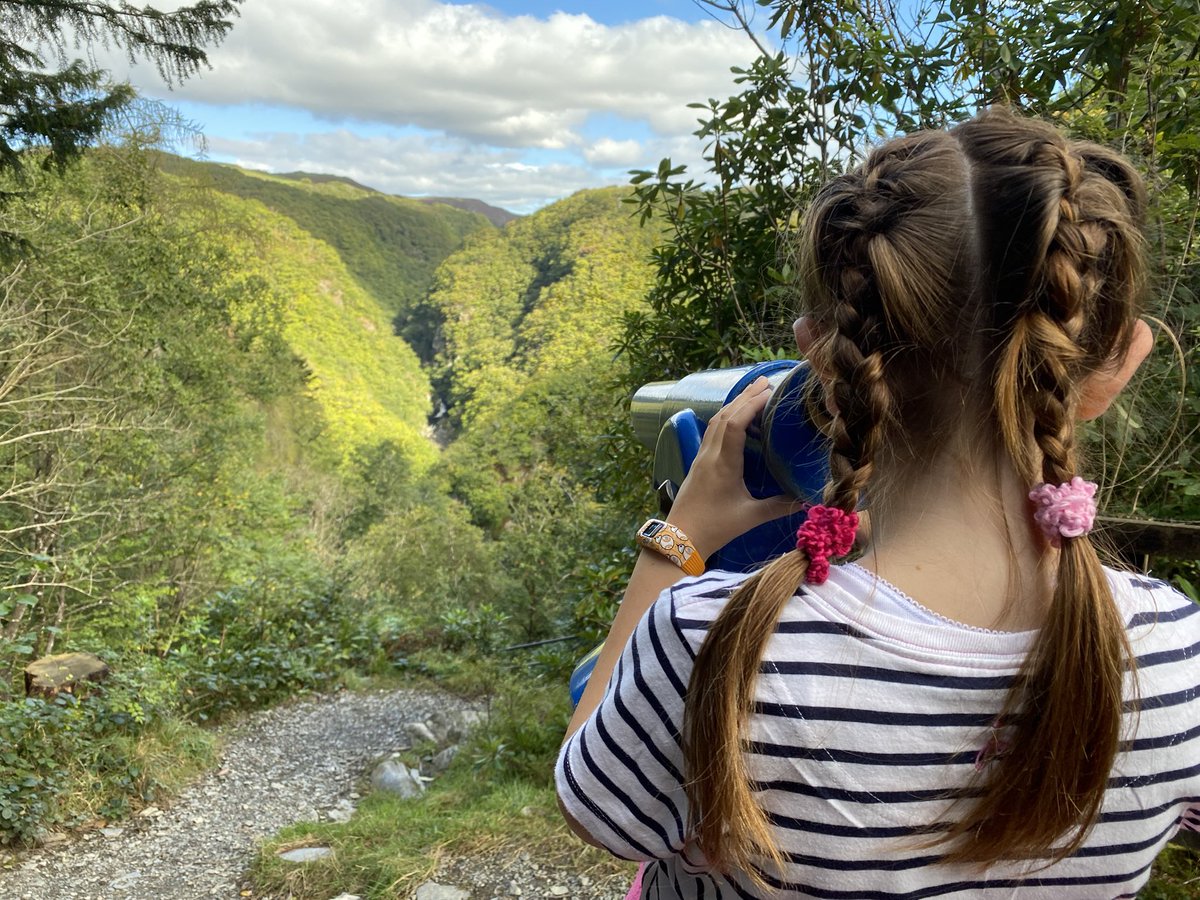 mtbcymru's tweet image. Out and about being a tourist with Izzie today, first up #DevilsBridge #midwales #cambrianmountains