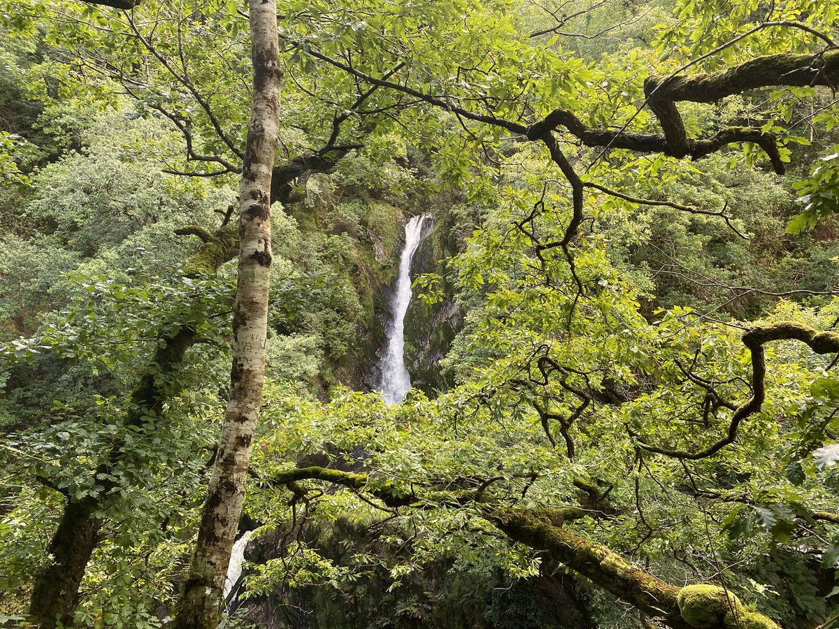 mtbcymru's tweet image. Out and about being a tourist with Izzie today, first up #DevilsBridge #midwales #cambrianmountains