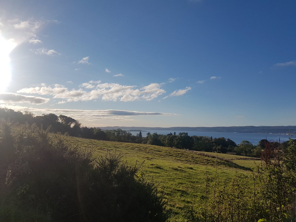 Misterpepin tweet media