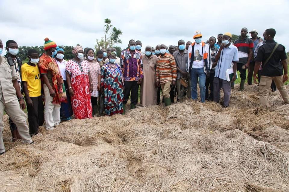 MPRiziculture's tweet photo. En marge de la visite d’État de SEM Alassane Ouattara dans la région de la Marahoué, le Ministre de la Promotion de la Riziculture, Gaoussou TOURE, a rencontré les riziculteurs et les rizicultrices de Koudougou dans le département de Bouaflé le 25 septembre 2020. https://t.co/bGGJm2s4Wq