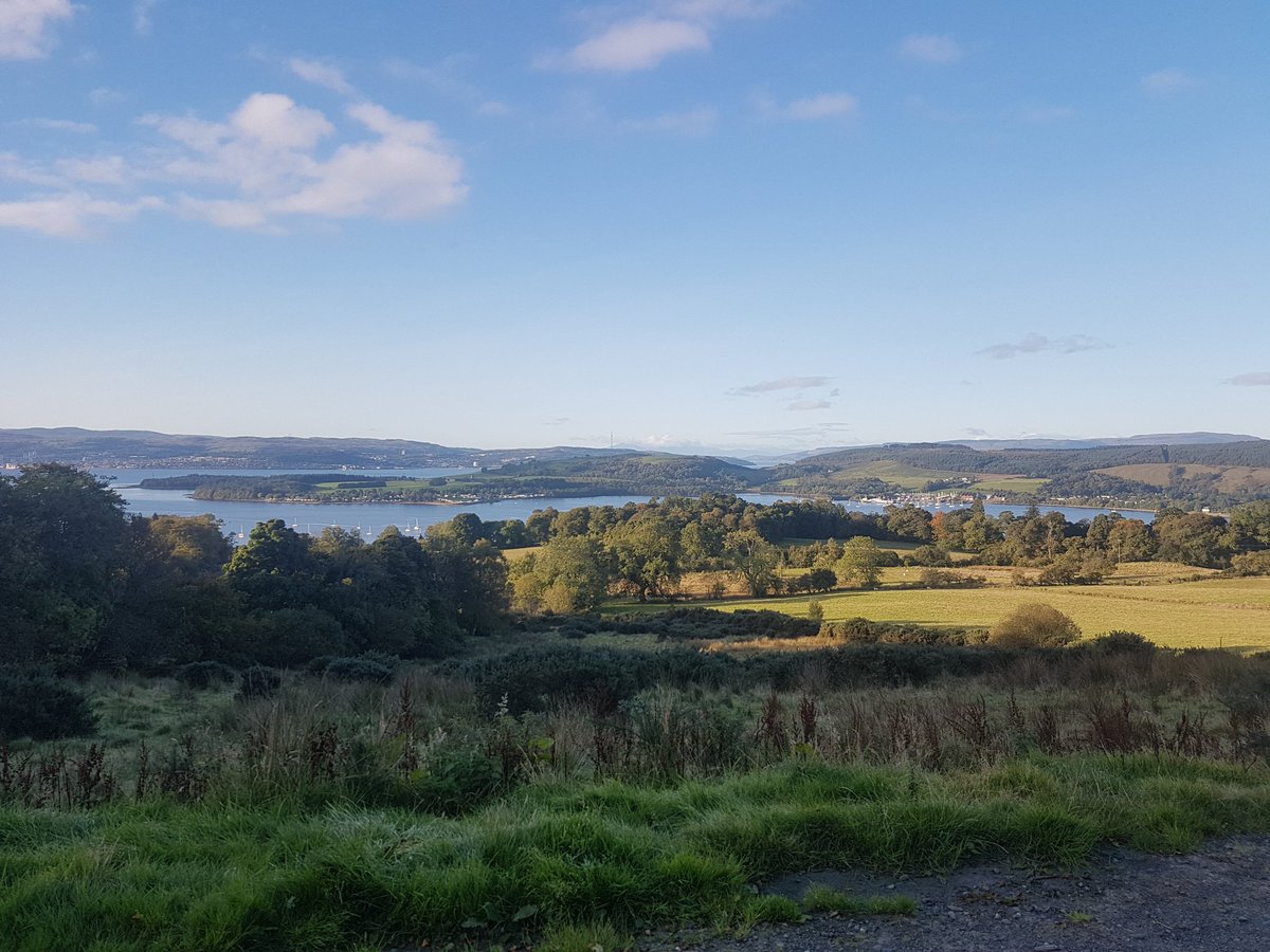 Misterpepin tweet media