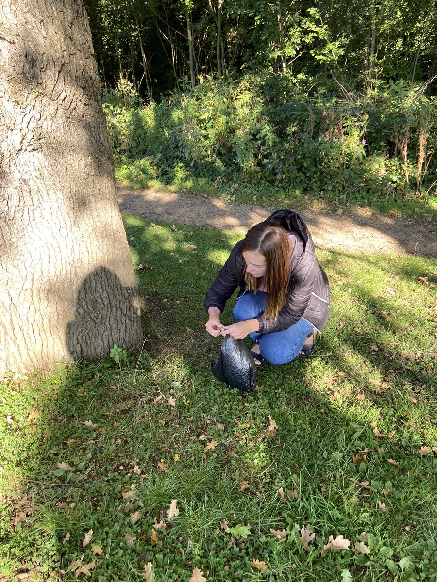 MissEManaghan's tweet photo. Can you guess what the Year 3 teachers are collecting for our Maths area this week? #mathsprovision #naturalmaterials #year3 https://t.co/DzKkOXcW9e