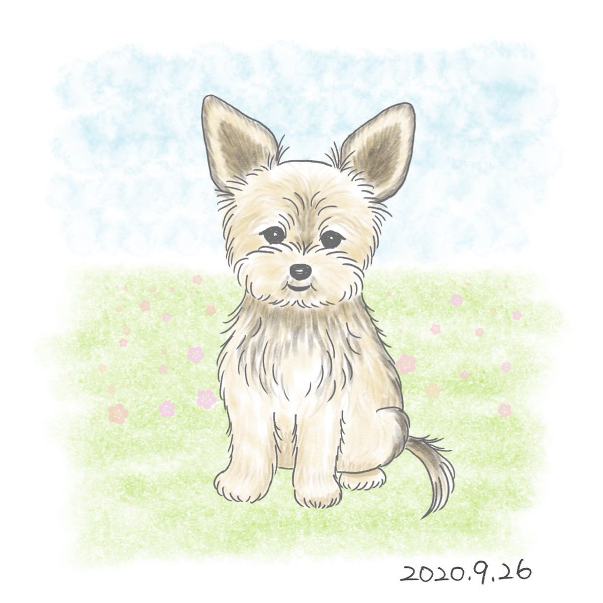 B5 手描きイラストプリント プルメリア ヨーキー ヨークシャーテリア 可愛い 犬 絵 代引き手数料無料 絵