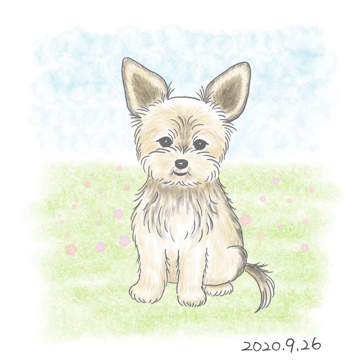 Chippoke ようこ 犬絵 94 愛犬のヨーチワ デジタル絵画 デジタルイラスト イラスト 犬イラスト 犬の絵 犬 ヨーチワ ヨークシャーテリア Chippoke犬絵 T Co Kkgzi01nns Twitter