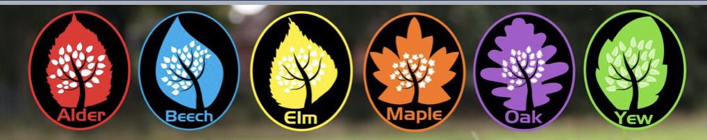 It’s back!! This coming week sees the start of the House competitions. First up, Oak House competition. Let the games begin!! 🏆<a href="/AlderHouseCHS/">Alder House</a> <a href="/BeechHouseCHS/">BeechHouseCHS</a> <a href="/Elm_HouseCHS/">Elm House</a> <a href="/MapleHouseCHS/">Maple House</a> @OakHouseCHS <a href="/YewHouseCHS/">Yew House CHS</a> #whohaswhatittakes #whichhousewillwin #characterbuilding #team