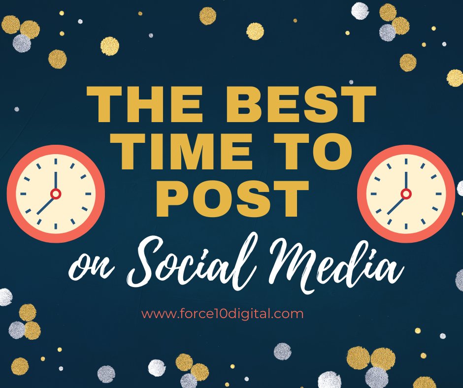 Anna @ Force10 Digital tweet media