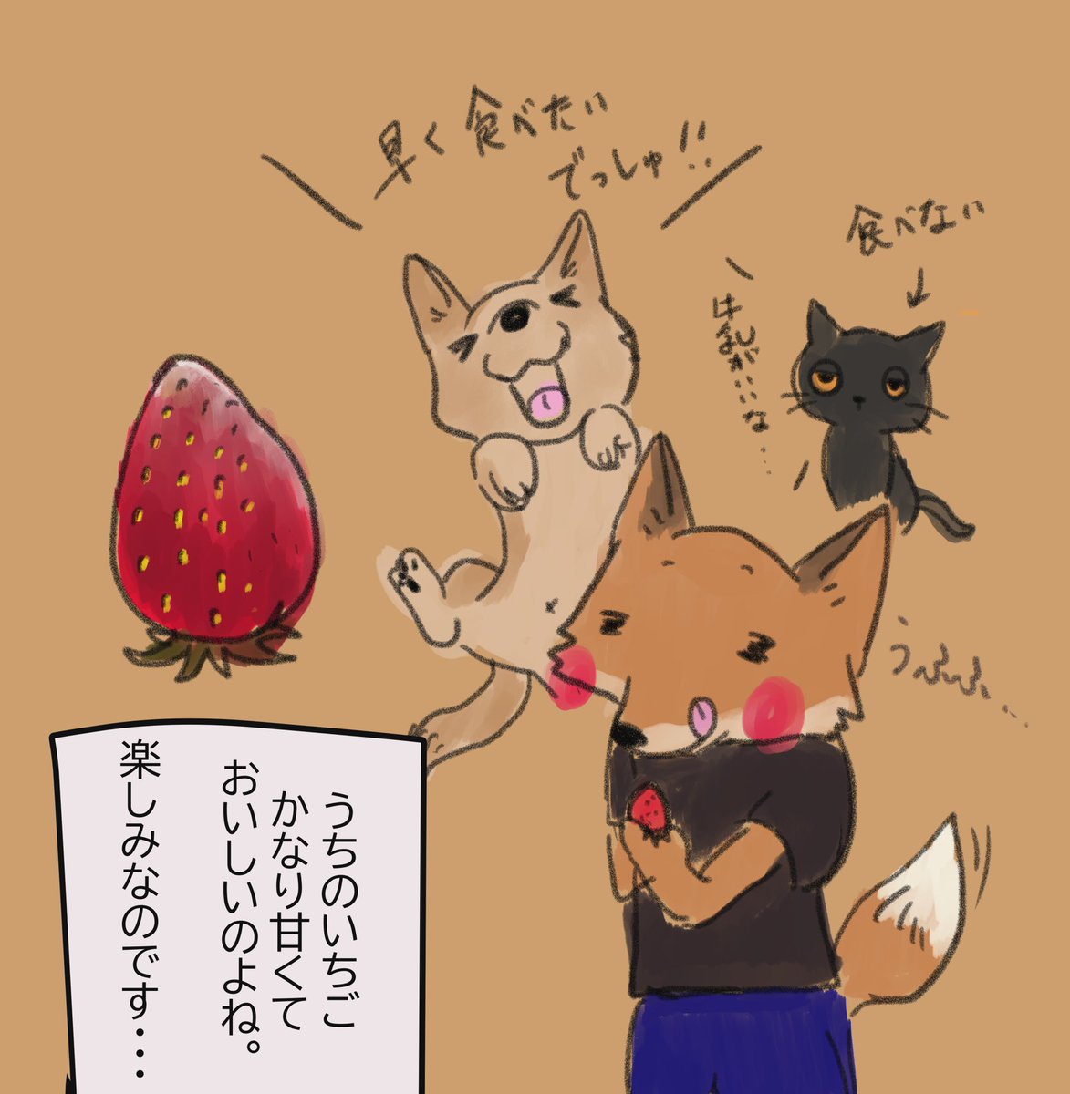 いちごのシーズンが間もなくやって来る!🍓
楽しみ楽しみ! 