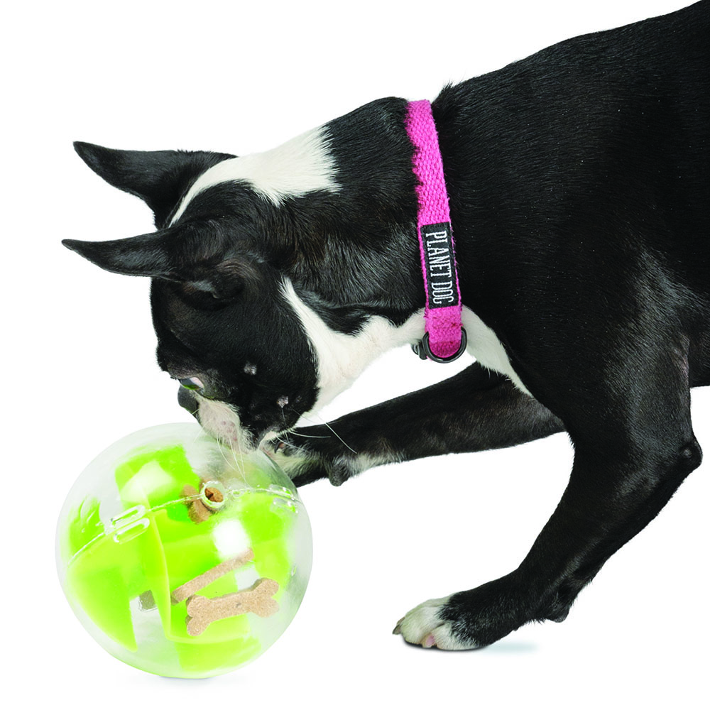 planetdoglife's tweet photo. Have you tried eating dinner out of the Mazee? It's rolling fun! https://t.co/RLCYbOCs1i