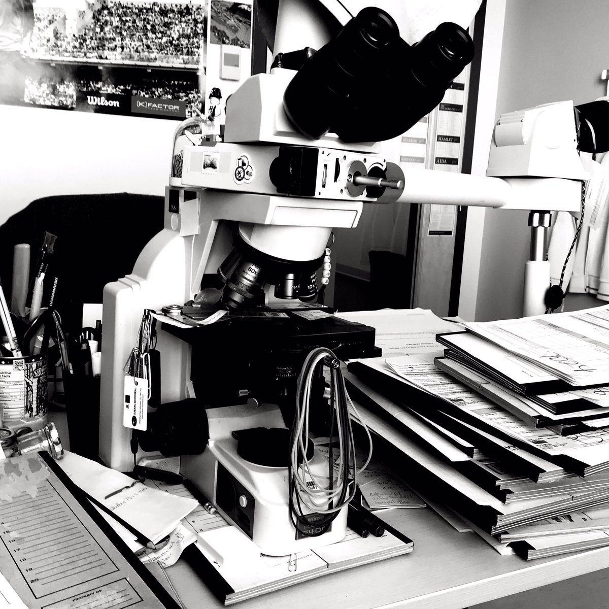 VHNguyenMD's tweet image. Proof from my cell phone camera roll that I work in healthcare. Show me your. 

#ILookLikeAPathologist