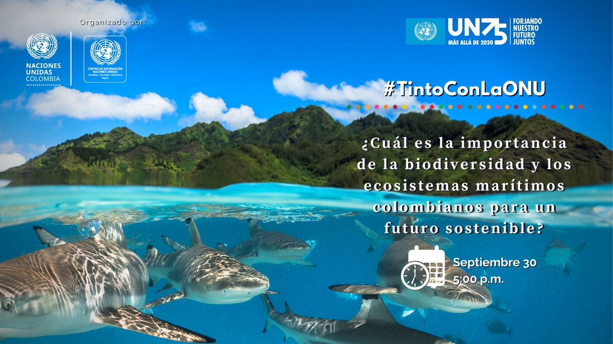 🌊Los mares y océanos son el hábitat de los arrecifes de coral, uno de los ecosistemas con más diversidad biológica del planeta🌎

Tómate un ☕ #TintoConlaONU 

🗓 30 de septiembre, 5:00 p.m. Regístrate en este Link 👉attendee.gotowebinar.com/register/41896… 
 
 #ONU75 #UN75