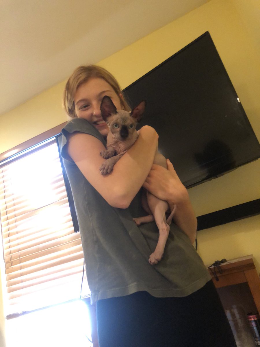 DecremerBrice's tweet photo. Today I got a hairless cat 😭😭😭 https://t.co/rkrVT0QQ8i