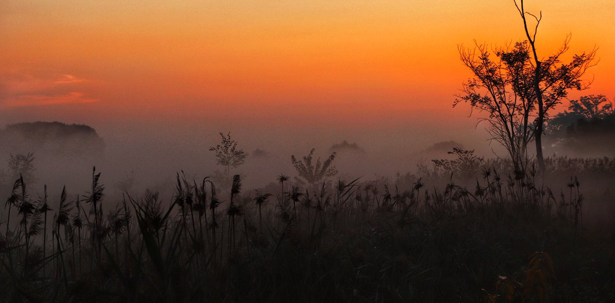 Misty morning on a beautiful Fall day #wrawesome #cbridge #explorewr #ShareYourWeather @cityofcambridge