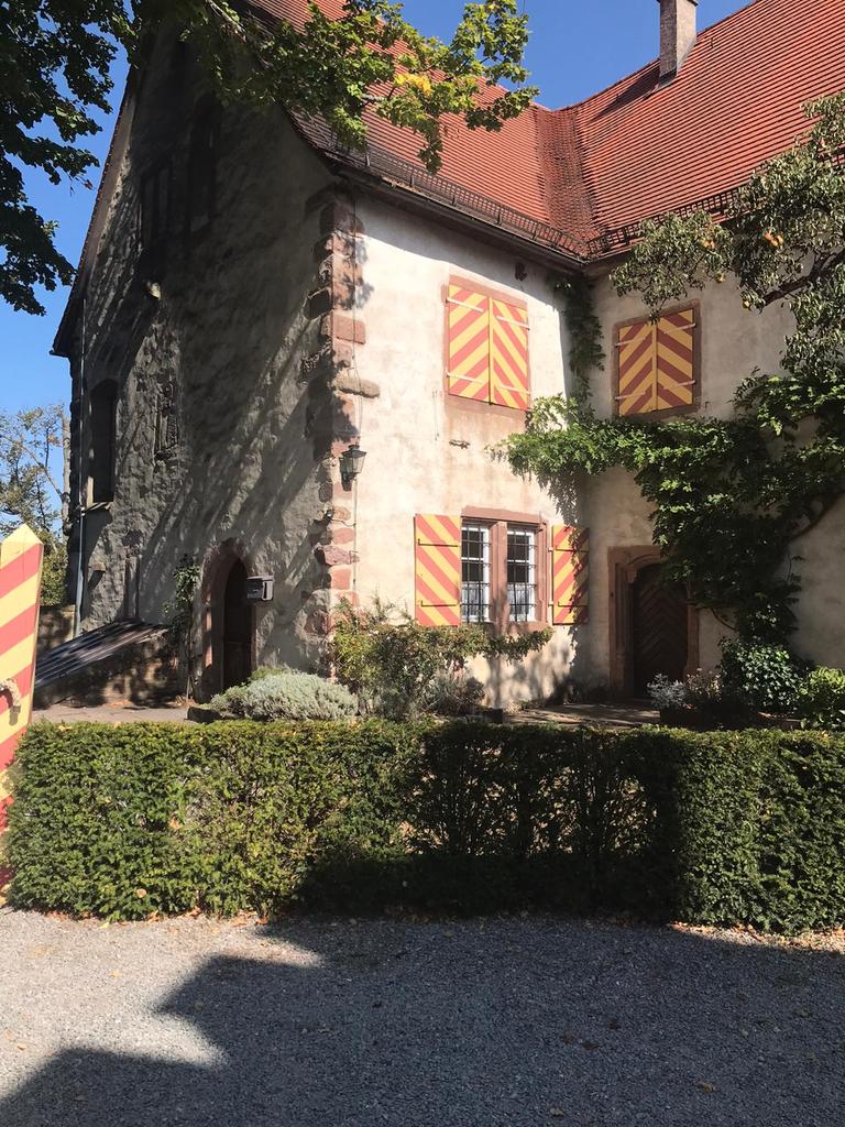 bernardreimer's tweet photo. Weidse vergezichten vanuit Schloss Staufenberg te Durbach. https://t.co/gBL1i4FyeB