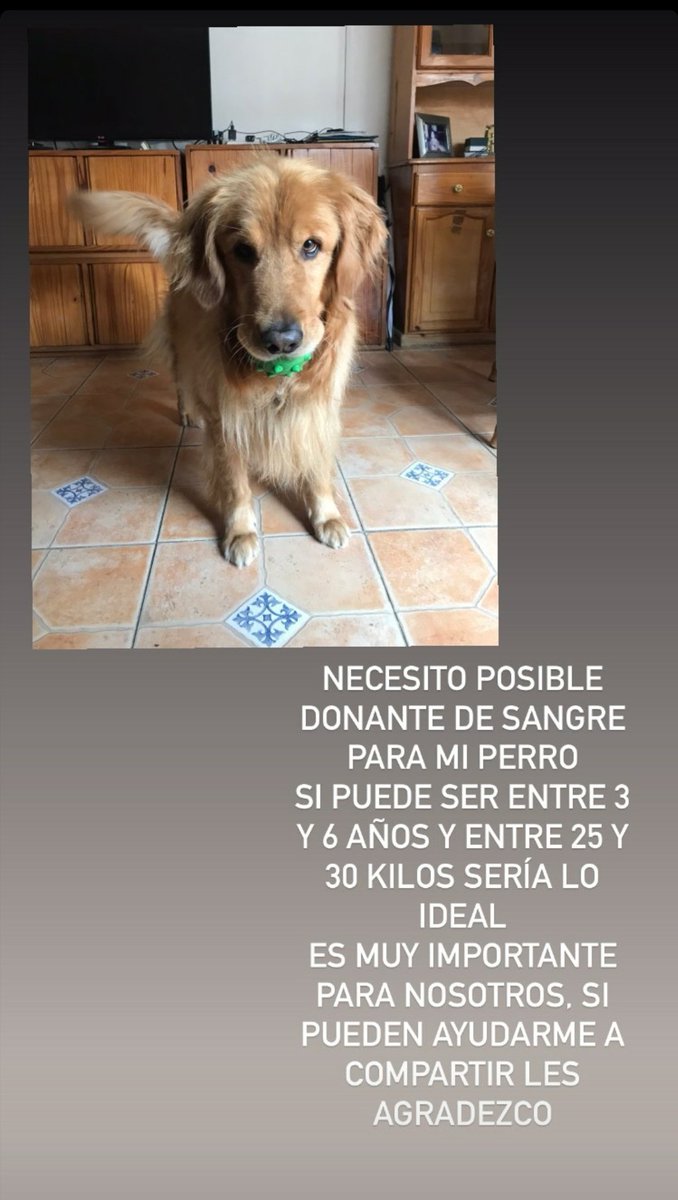 Mica_Rodriguez_'s tweet photo. NECESITAMOS DONANTES!!!‼‼ https://t.co/SzGkDUAGQh