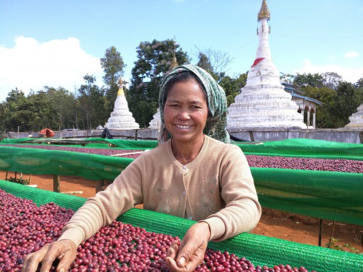 ecroporigin's tweet photo. Want buy an interesting coffee from Myanmar 🇲🇲? Check out our NEW Marketplace!
https://t.co/6lqhSxh204  ☕️ 

#coffee #specialtycoffee #coffeeculture #sustainablecoffee #coffeefarming #ecroporigin #traceablecoffee #supplychain #transparency #coffeeroasting  #Coffeesellers https://t.co/UrRy8ZDk3B