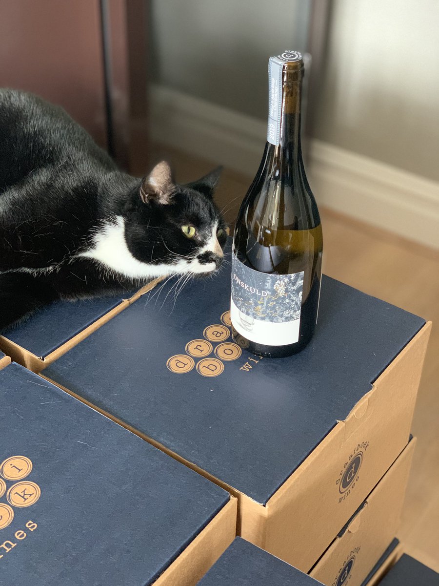 "Incredibly complex bouquet. White citrus, lime peel pith, dried herbs and delicate nutty, leesy, biscuit notes" - Mr. Felix, resident feline wine fan

Our UK stock was delivered safely this week and we're getting ready to launch the wine in the UK and SA in less than a week