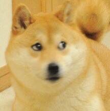 H...Hi I’m still alive