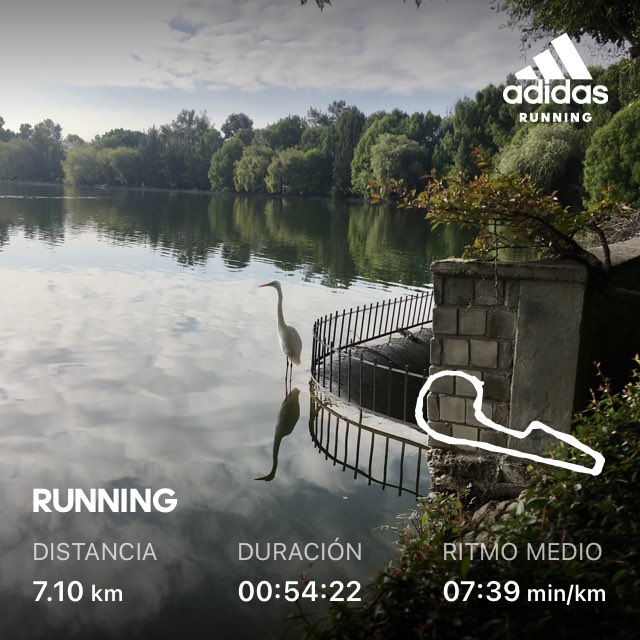 daisyhamer2018's tweet photo. RT @calandria_abril: #laguna #garza #naturaleza #quemandocalorias #corrermehaenseñado #soymamá https://t.co/8I0GGgo3Zc