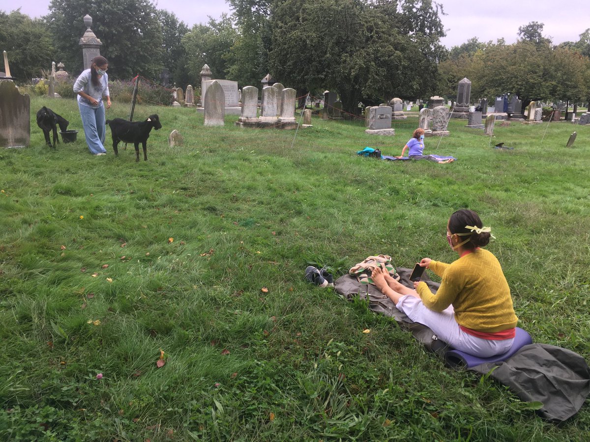 StMarksYoga's tweet photo. Aviva, ⁦@lauranarayani⁩ and Pamela representing SMYC for baby goat yoga. ⁦@CongCemetery⁩ https://t.co/YQkGyK9AE7