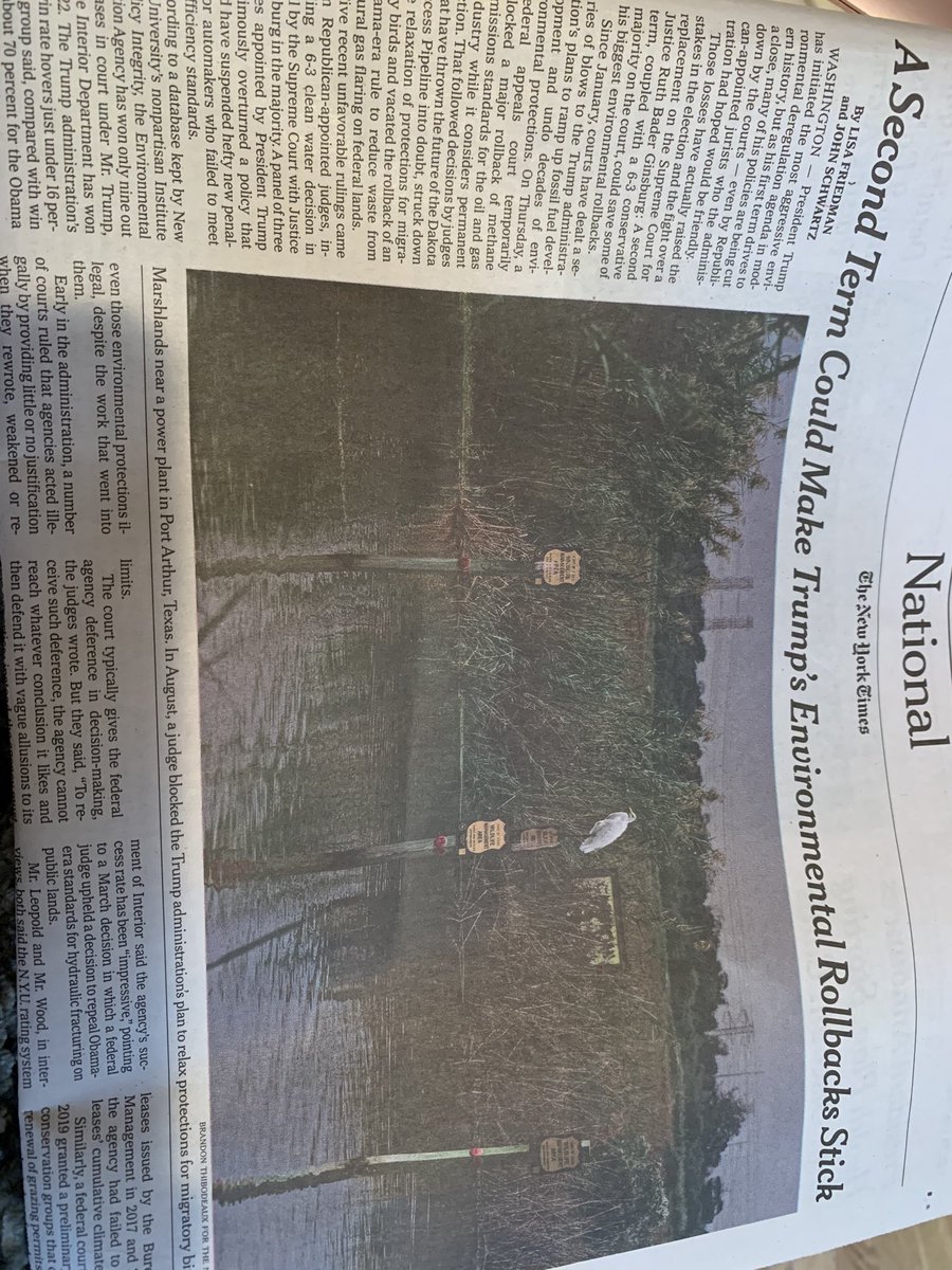 Jane Simon, M.D. tweet media