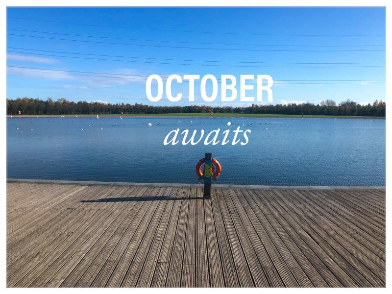 MVP has a monthly theme to help give the MVP messages in different ways, the link For October <a href="/wakelet/">Wakelet 💙</a> wke.lt/w/s/h8xhkG focus is hate crime and anti-bullying. We have included ideas and resources to help support it your school and community #HateCrime #BeKind #support