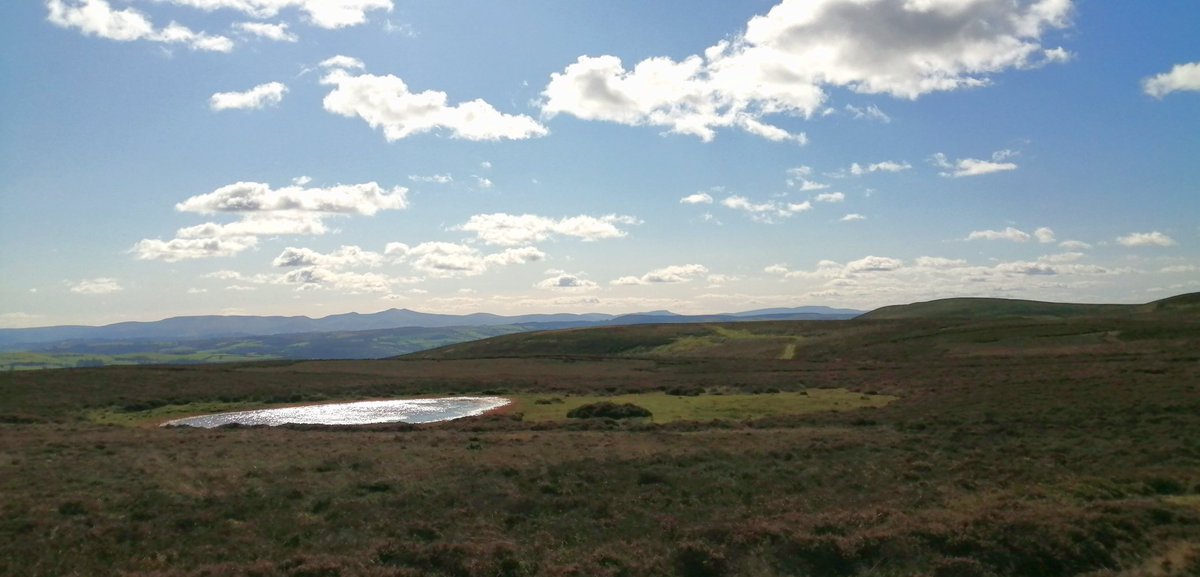 Martin Whittaker tweet media