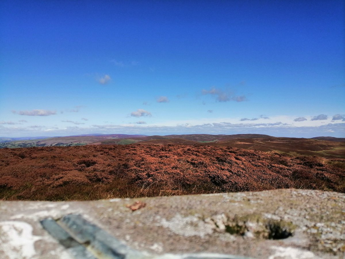 Martin Whittaker (@smoggiewalks) on Twitter photo Exploring Llandeilo Hill (Paincastle) #getoutside #explorelocal #trigpoint #discoverlocal #lesserwalkedpaths #geocaching <a href="/DerekTheWeather/">Derek Brockway - weatherman</a> <a href="/OrdnanceSurvey/">Ordnance Survey</a> <a href="/WelshUplands/">Powys Moorland Partnership</a> <a href="/LiveGeocaching/">Geocaching Live</a> Exploring Llandeilo Hill (Paincastle) #getoutside #explorelocal #trigpoint #discoverlocal #lesserwalkedpaths #geocaching <a href="/DerekTheWeather/">Derek Brockway - weatherman</a> <a href="/OrdnanceSurvey/">Ordnance Survey</a> <a href="/WelshUplands/">Powys Moorland Partnership</a> <a href="/LiveGeocaching/">Geocaching Live</a>