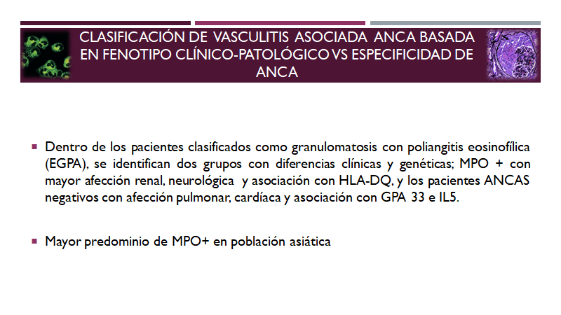 MerayoDr's tweet photo. Sobre el seminario de la semana pasada sobre clasificación en Vasculitis Sistémica https://t.co/oDtDBc792b