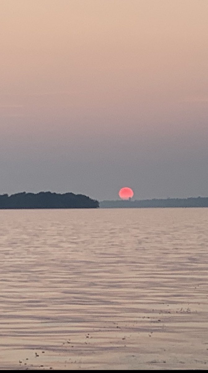 On and in the St Lawrence River last night watching the sun set on Kingston Ontario. Connect, Collect, Share and Restore: the #swimdrinkfish formula for clean water &amp; strong communities. <a href="/waterkeepermark/">Mark Mattson</a> <a href="/swimdrinkfish/">Swim Drink Fish</a> <a href="/swimguide/">Swim Guide</a>