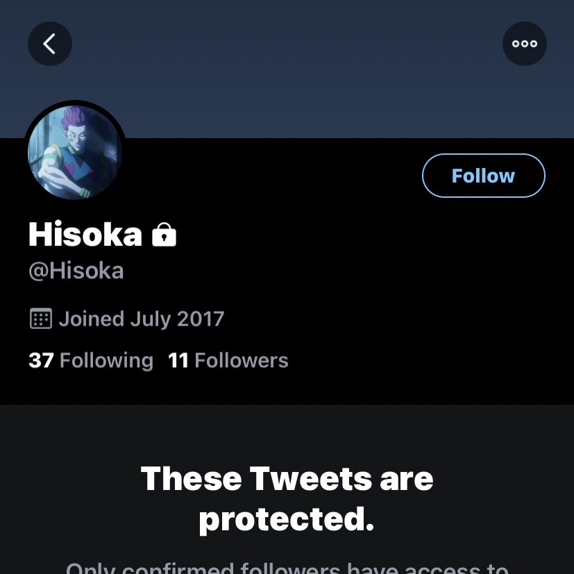  @hisoka is protected, however it gets major points for actually having hisoka as the pfp. can’t tell if they’re active or not, and header is just a color, but i’ll give it 5/10