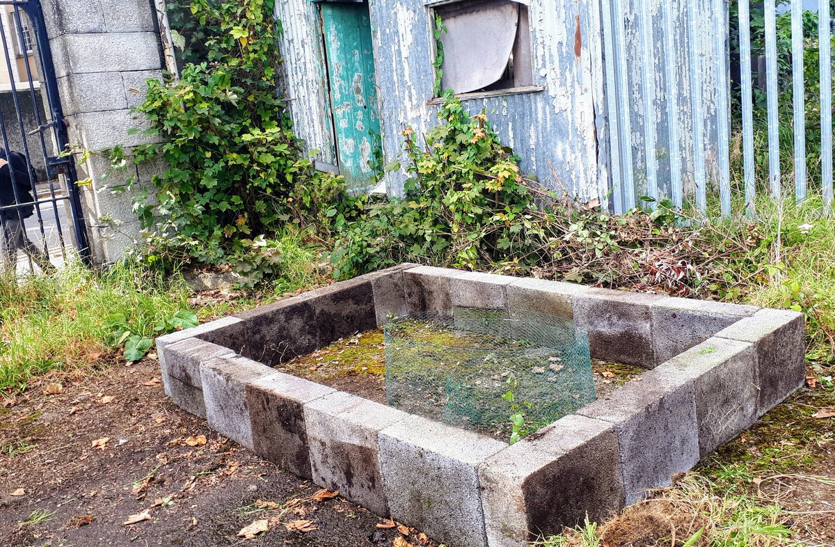 InfirmaryGarden's tweet photo. Lots of hard work done today, our first raised bed was built using materials from the site. The possibilties are endless! But needless to say, there will be pollinators 🐝🌺🌼 https://t.co/qegH0fxEq1