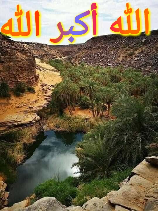 محمد عبدالرحمن بازلين أبو حفص {الأنصاري - شنقيطي} (@mbazline) on Twitter photo 