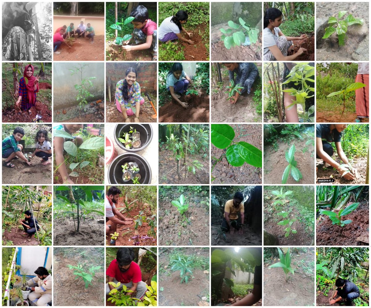 riseupforum's tweet photo. With the initiation of Climate Action 2020, Rise Up Forum has set the ignition to the Green Cover Project, an ambitious plan to increase the green cover of our Earth. @Campaign4TREES @FFFIndia @IPCC_CH #GreenCoverProject #GlobalClimateStrike  #FightClimateInjustice https://t.co/9NUt6iyIpa