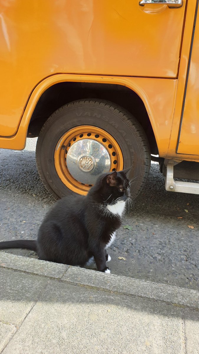 TaleTwisters's tweet photo. Meanwhile @WigtownBookShop @WigtownBookFest #wbf20 #CaptainTheCat #Campervan https://t.co/ZHBIEOjK8S