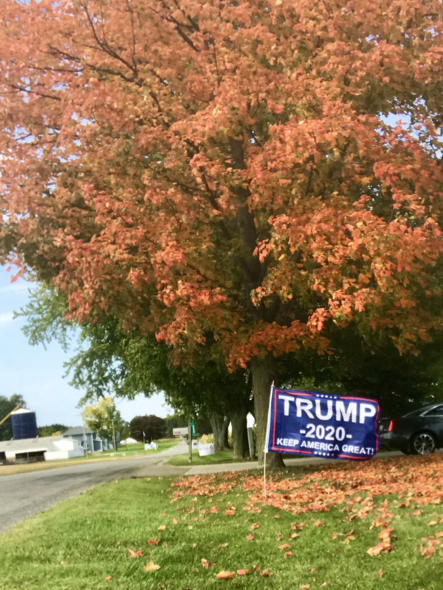 stevegrubershow's tweet photo. #FallColors2020 seem very vibrant this year! @realDonaldTrump #MAGA https://t.co/fzwRit1pCi