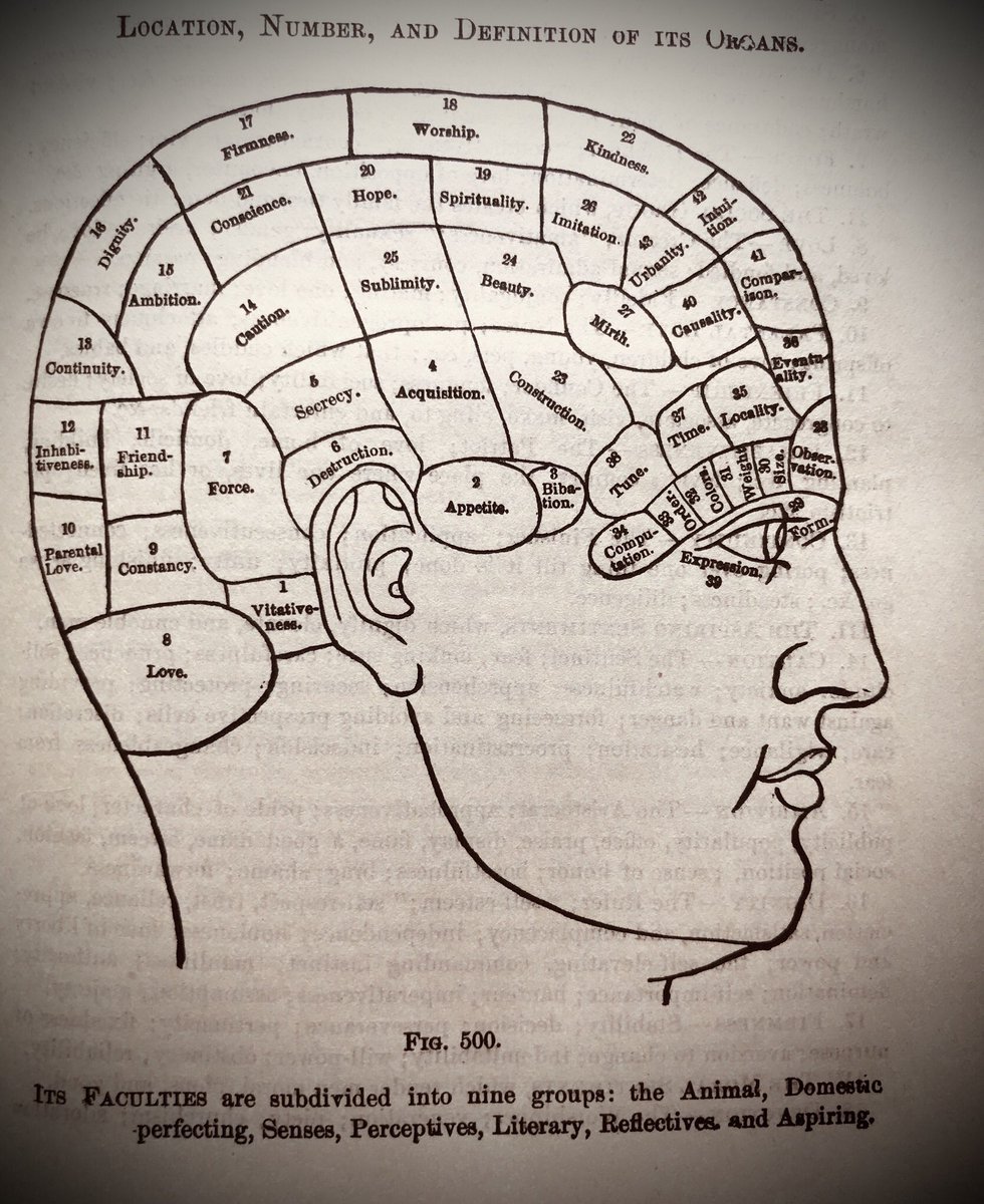 A handy reference for all your phrenology needs...