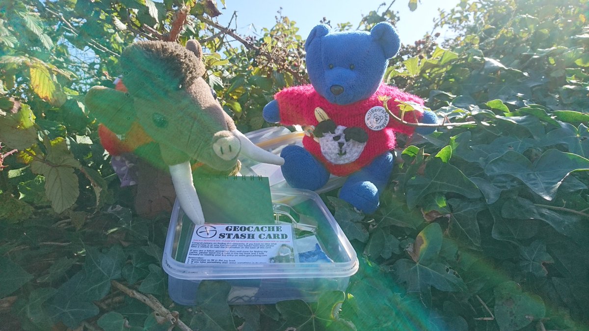 RedditchMammoth's tweet photo. Doing a bit of exploring on St Mary's today. This involved a little bit of #geocaching. #scillybears https://t.co/zyC7S5bwsD
