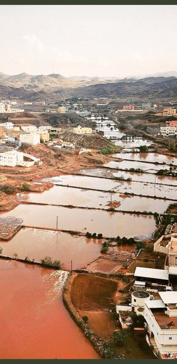 يا منظر الماء يجري في خمائلها
يروي مزارع آبائي وأجدادي

ومنظر السيل من أعلى ثمائلها
كأنه البدر في الآفاق يا حادي

د. خليل الحدري Khalil_alhadri@