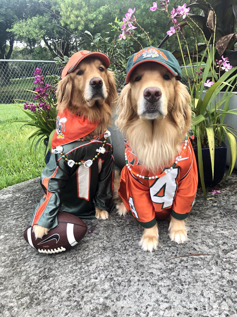 Renee_M_RN's tweet photo. The girls are ready for tonight!  #GoCanes #BeatFSU @UM_Sebastian @CanesFootball #miamihurricanes @Coach_MannyDiaz https://t.co/c0t2vxGkGl