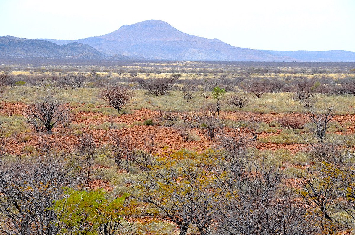 It all ties in to the 18th-19th century theme too, with the "lush" regular greenery looking like an 19th century American landscape painting. The "Veldt" refers to the African Veld, and the background seems fairly close to the in appearance as well, albeit a bit stripped down.