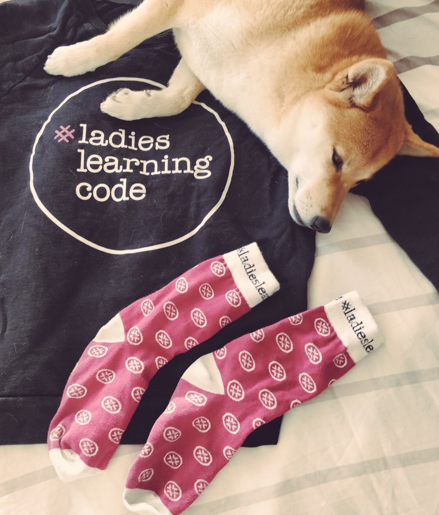 JocelynPhu's tweet image. It's #codetimegotime for @learningcodeyyc! Today we kick off our #ladieslearningcode SQL workshop with 81 registered learners virtually...which means this little cutie can also join in on all the fun