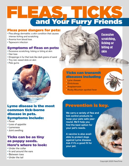 HealthCare_Pets's tweet photo. #Fleas and #ticks don't only occur in the summer months! Learn more about ticks and #Lymedisease with Dr. Clayton Greenway: https://t.co/udYMSCIJQz
.
.
.
#flea #dogflea #catflea #petflea #dogfleas #catfleas #petfleas #tick #dogtick #cattick #pettick #dogticks #catticks #petticks https://t.co/62Sj0Ny6ci
