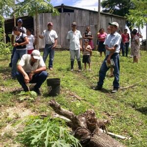 Las alianzas deben decidirlas los electores solo así pueden triunfar. Hay quienes piensan que son sumas aritméticas como si fuera acumular riqueza.
En el PAN debemos decidir en función de la necesidad ciudadana y el bien común