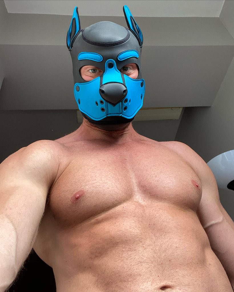 maxzarec's tweet photo. Now I have it ☺️ New videos soon 😈 https://t.co/bgGQxNWNLz