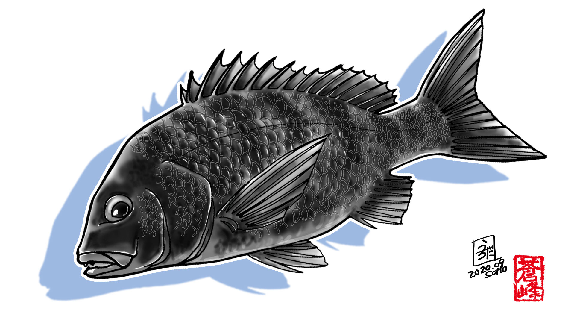 オヤビッチャ みんなで黒い魚を描こうの会 初めて参加しようと思って新規アカウント作っていたら 手間取って締め切り過ぎてしまったけどとりあえず貼る 笑 黒い魚といえば黒鯛ですね 魚イラスト クロダイ T Co 2cdvhwes6k Twitter