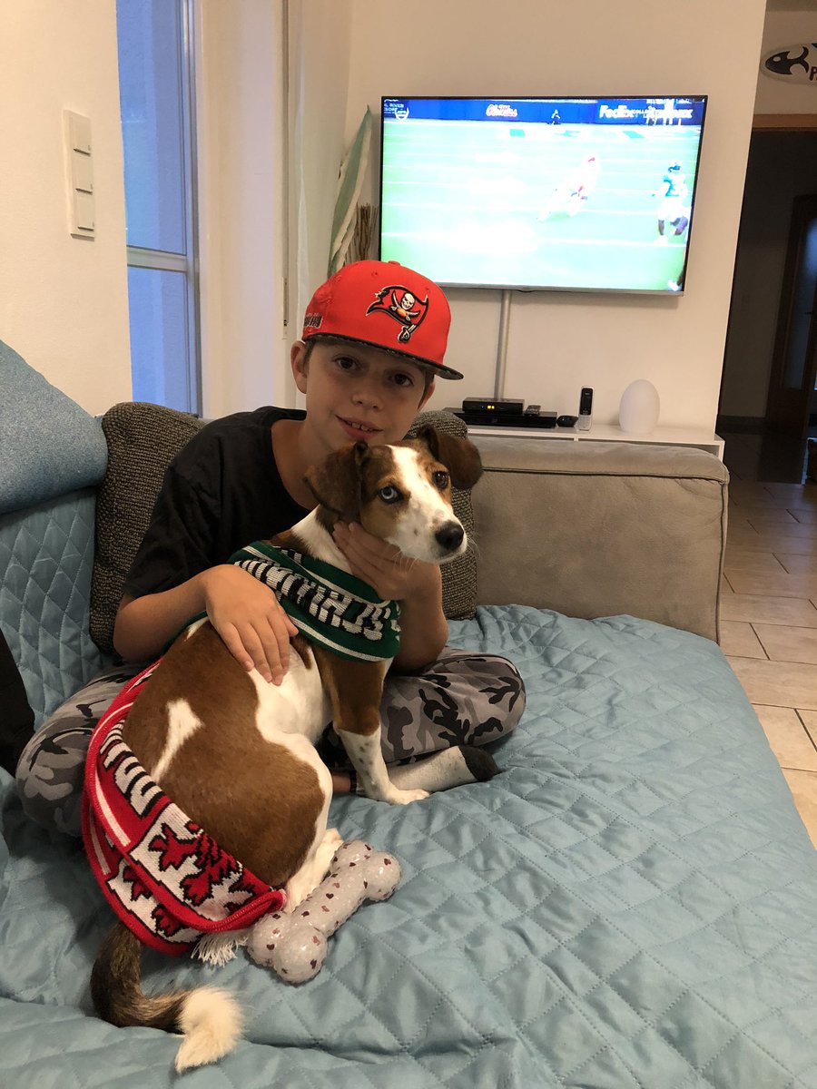 Stewierak's tweet photo. #ranCollege Samstag ist Footballtime - auch für den Hund- Go Gators https://t.co/EILtfO7oWC